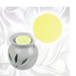 CK1 Glitzy Wax Melt | 7g Highly Scented Fragrance Melt